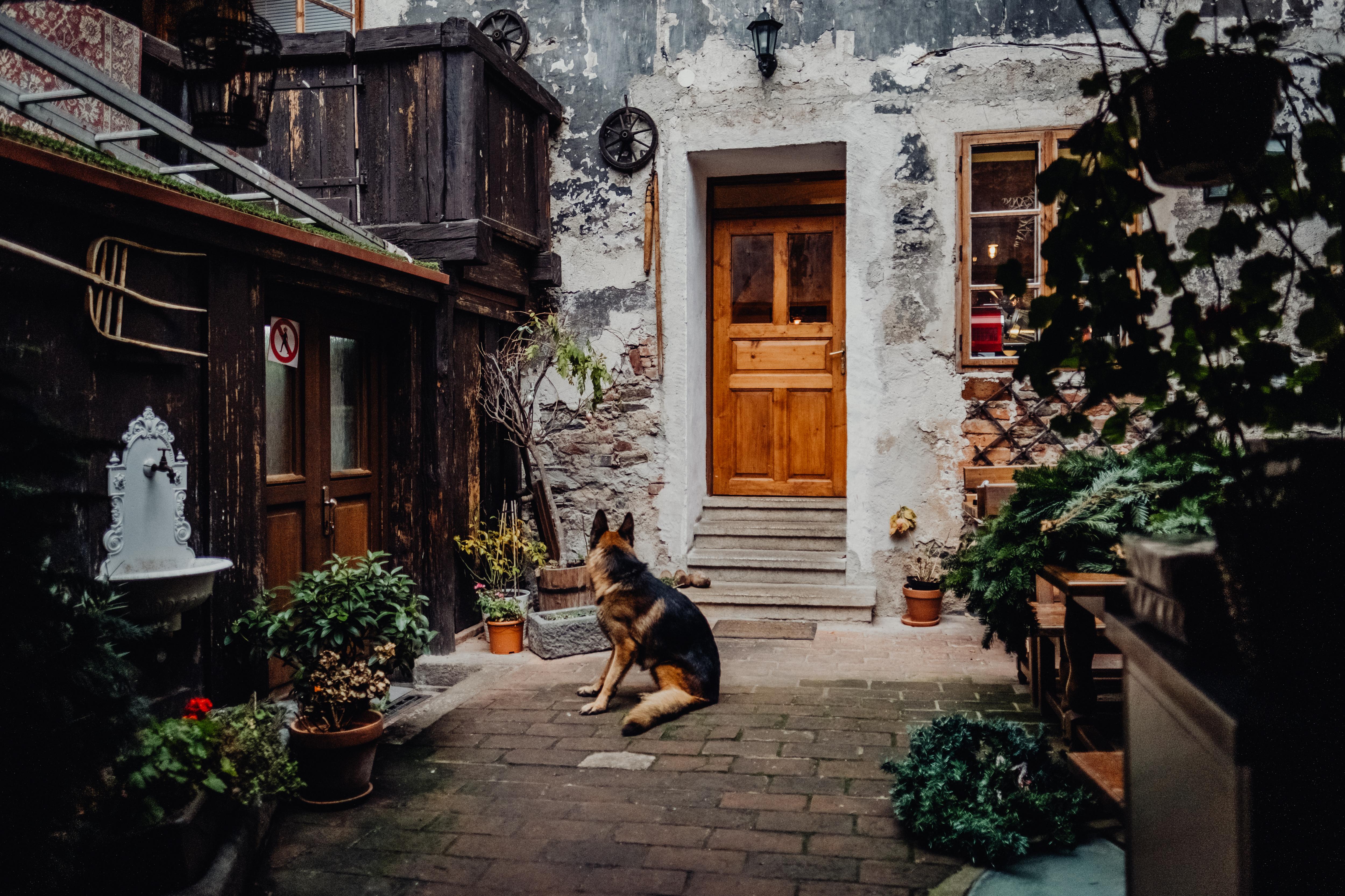 Krumlovska Pohadka Cesky Krumlov Ngoại thất bức ảnh